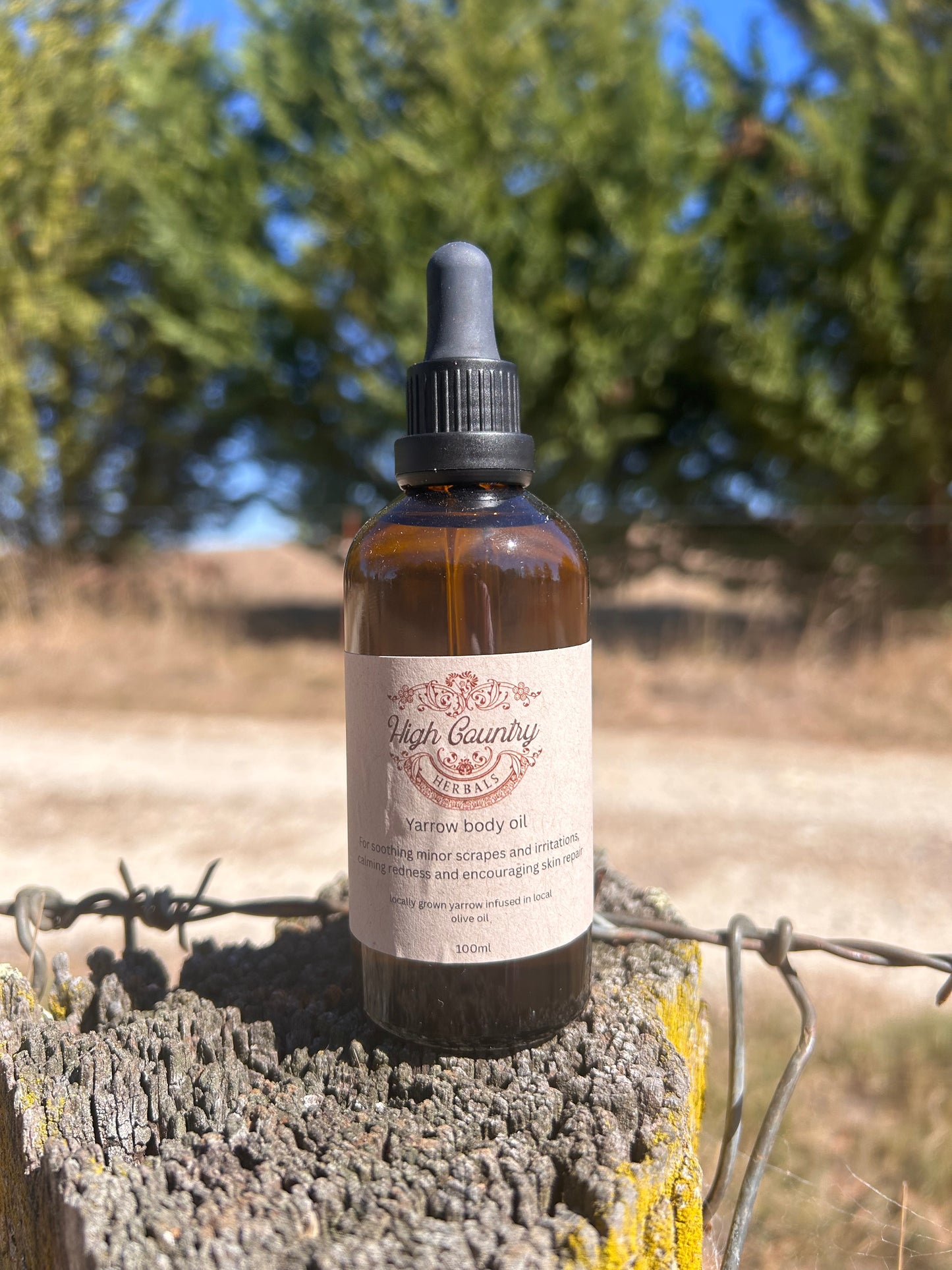Yarrow body oil