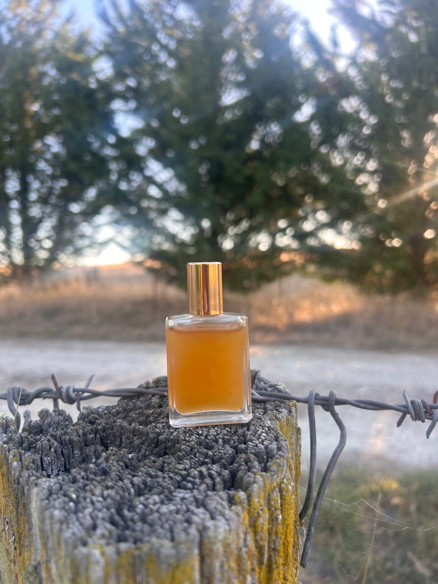 Spiced Rose Perfume Oil